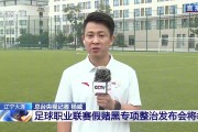 央视：整治足球职业联赛“假赌黑”，相关涉事人员行业处罚将公布