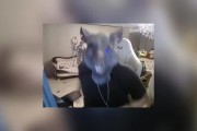 姿态看语音仁川双C越塔四杀 队友喊别越：我就猜到是这种情况！